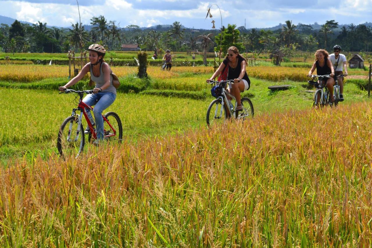 Bali Culture Guesthouse Ubud Eksteriør bilde